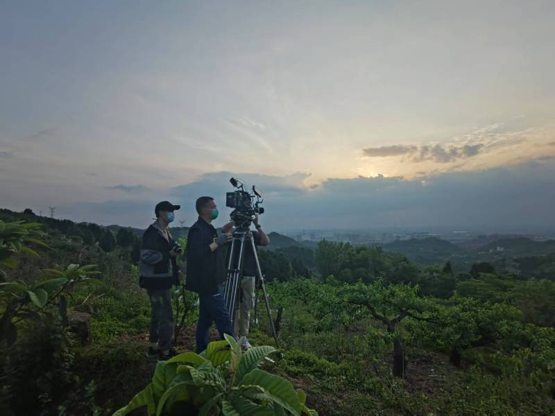 创意破圈！东湖区电商产品宣传视频用故事化叙事引爆流量
