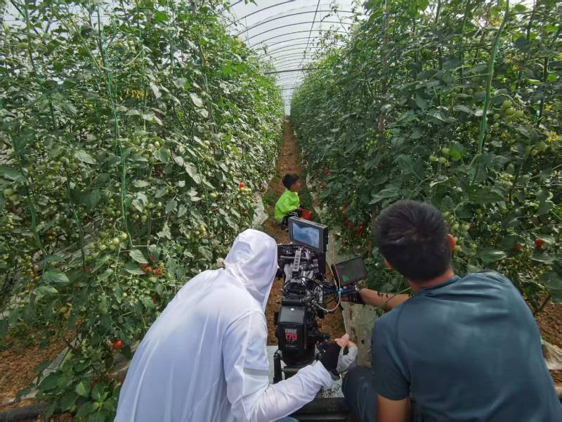 东湖区产品宣传视频拍摄公司进阶指南，助力品牌抢占传播高地